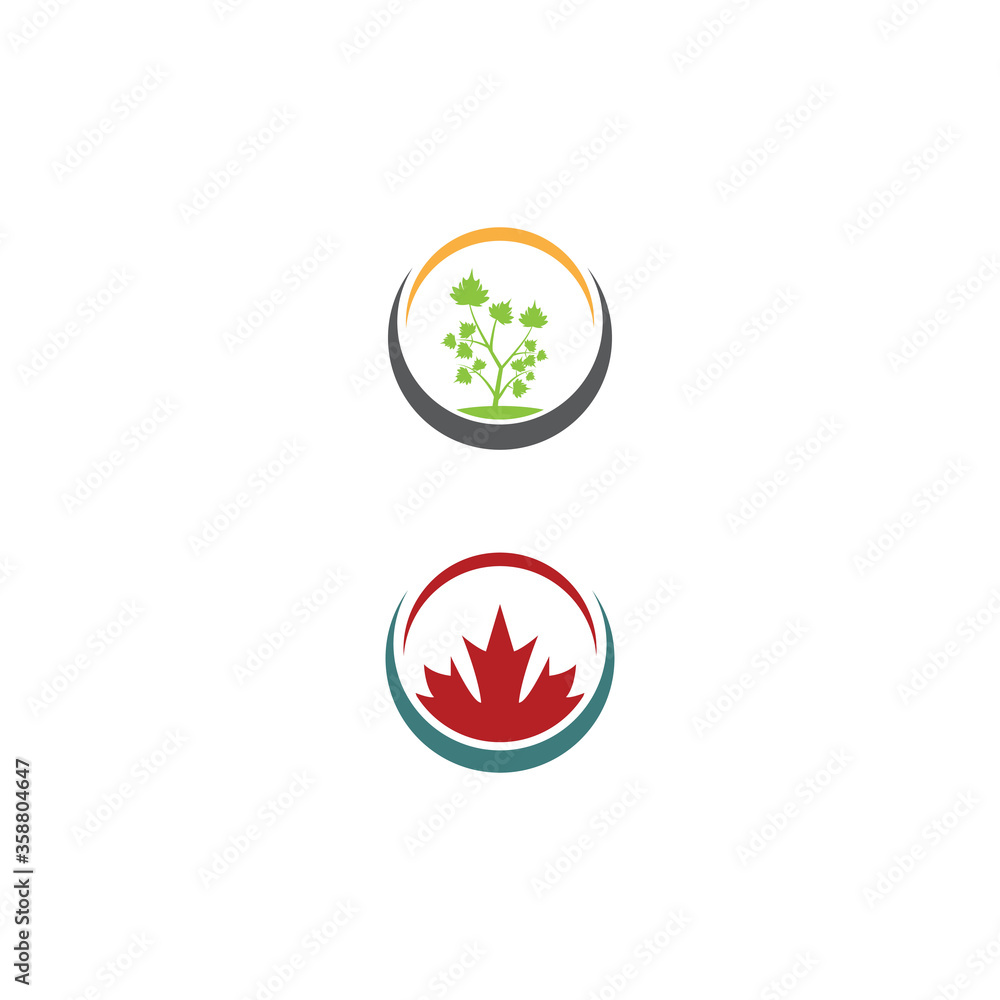 Maple leaf vector illustration Maple leaf vector illustration