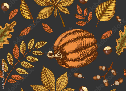 Autumn seamless pattern with  Hand drawn colored  leaves and pumpkins. Leaves of maple, birch, chestnut, acorn, ash tree, oak. Sketch.  For wallpaper, web page background