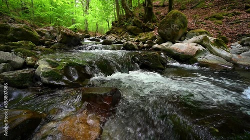 Low angle video with a fast flowing mountain stream in the spring forest