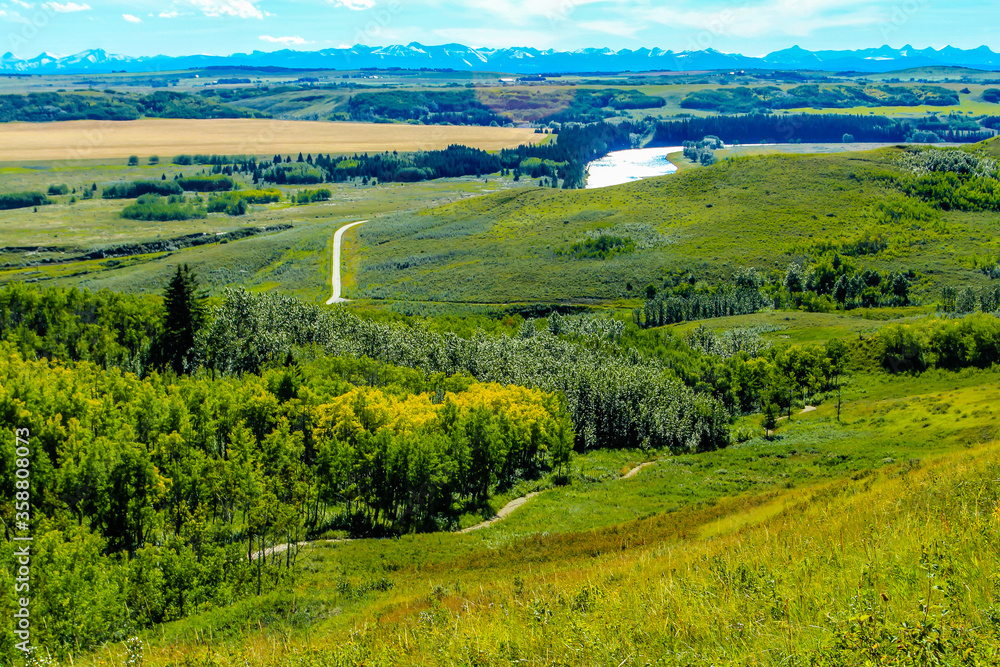 Farmers field adds a splash of colour to the ranch. Glenbow Ranch Provincial Recreation Area, Alberta, Canada