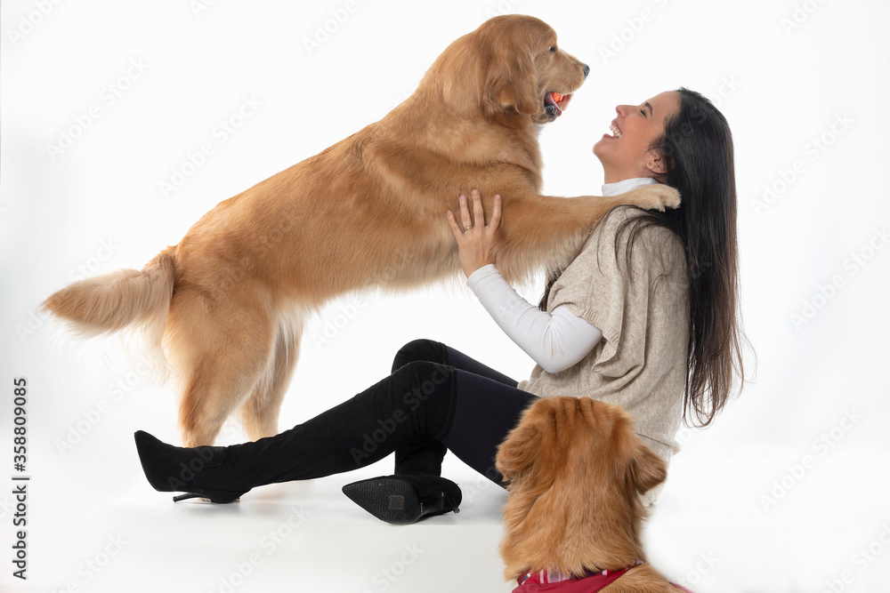 happy dog and girl playing together on a white background happy dog and girl playing together on a white background
