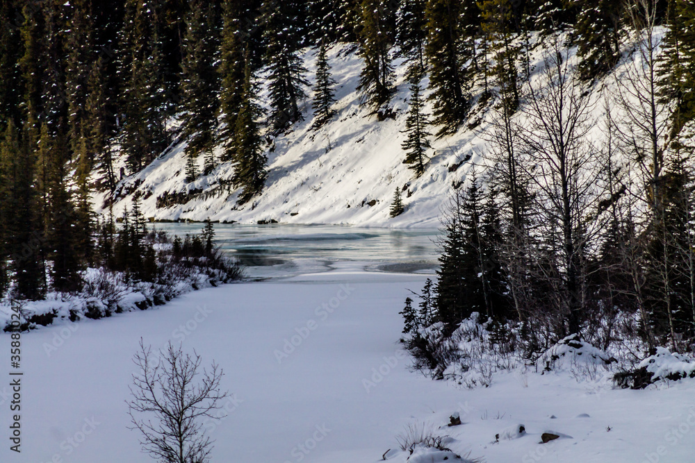 Winter takes a firm grip on the park. North Ghost Provincial Recreation Area, Alberta, Canada Winter takes a firm grip on the park. North Ghost Provincial Recreation Area, Alberta, Canada
