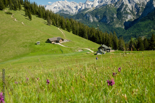 Obraz na płótnie Frühling auf der Stepbergalm