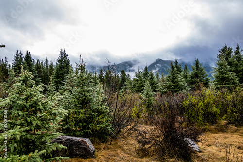 Low clouds hover over the park. Seven Mile Provincial Recreation Area, Alberta, Canada