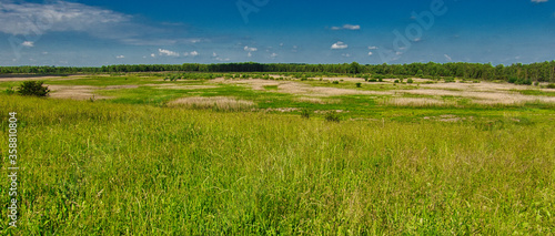 POLANA W LECIE. PANORAMA