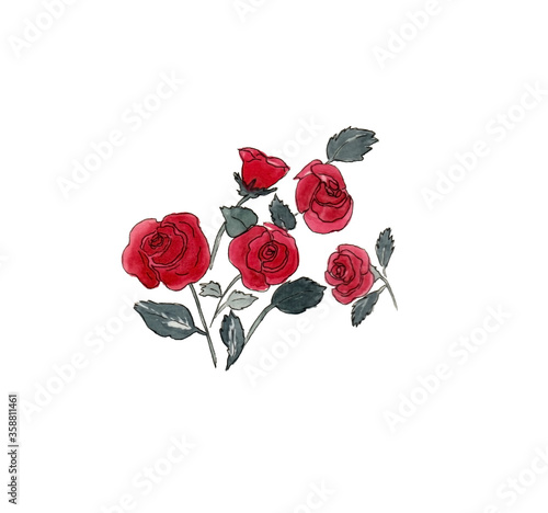 watercolor red roses with petals