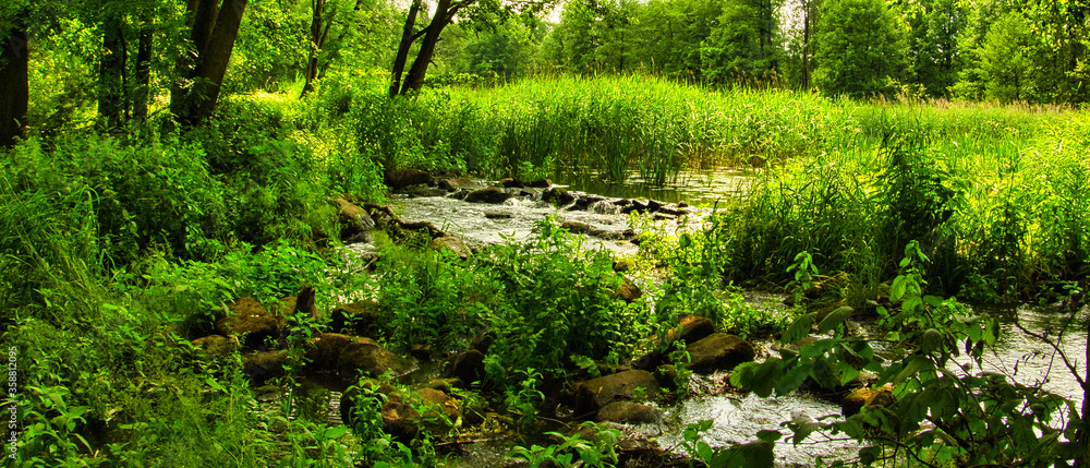 Fototapeta premium RZEKA PRZEPŁYWAJĄCA PRZEZ LAS. RZEKA GRABIA, LDZAŃ, POLSKA, EUROPA
