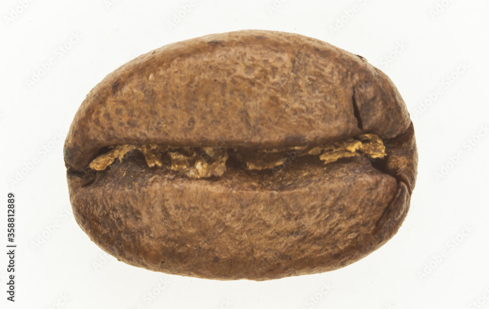 Obraz premium A coffee bean close up with white background.