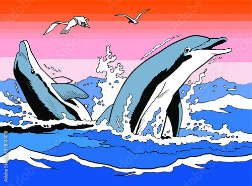 Two dolphins play in the sea during sunset