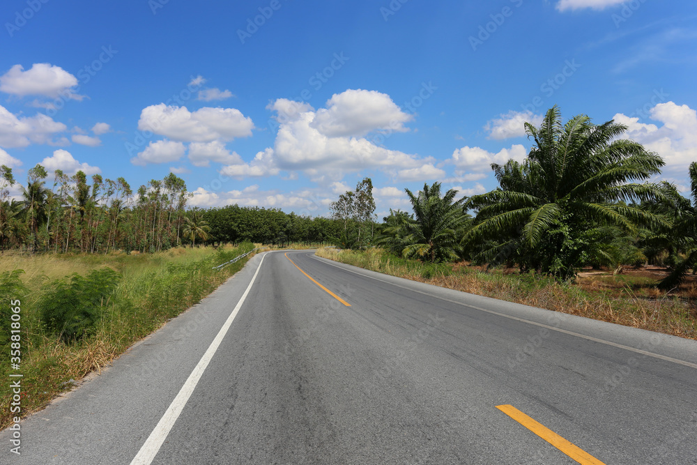 Fototapeta premium Rural road with trees on both sides during.