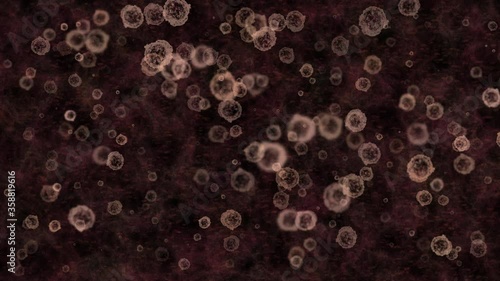 4K video of the virus multiplying in the body
