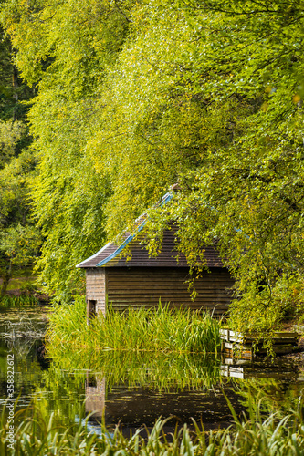 Trees in the park during early autumn period