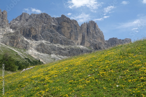 Rosengarten, gesehen vom Nigerpass