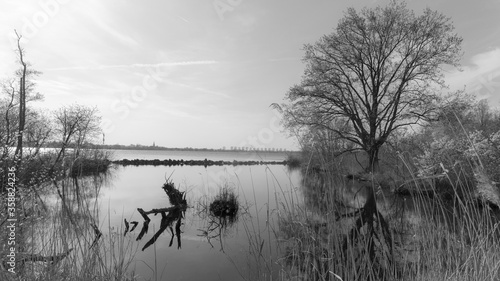 Nature reserve The Ankeveense Plassen, The Netherlands photo