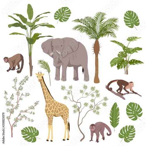 Photography Set of jungle animals and tropical vegetation with giraffe, elephant, monkeys an