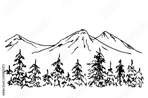 Hand drawn ink vector sketch. Wildlife of the Nordic countries. A simple landscape of coniferous trees in the foreground, the contour of the mountains on the horizon. Nature, forest, travel, tourism. 
