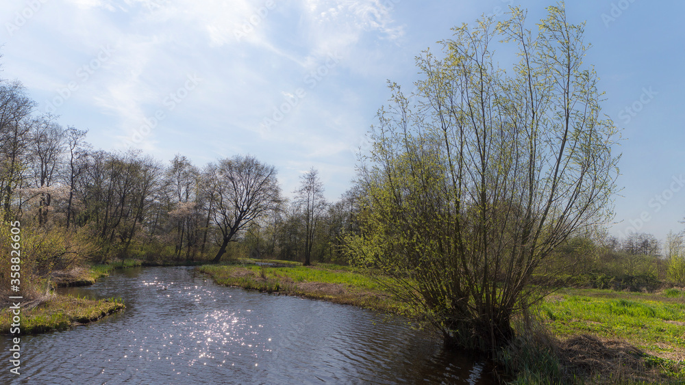 The Ankeveense plassen The Ankeveense plassen