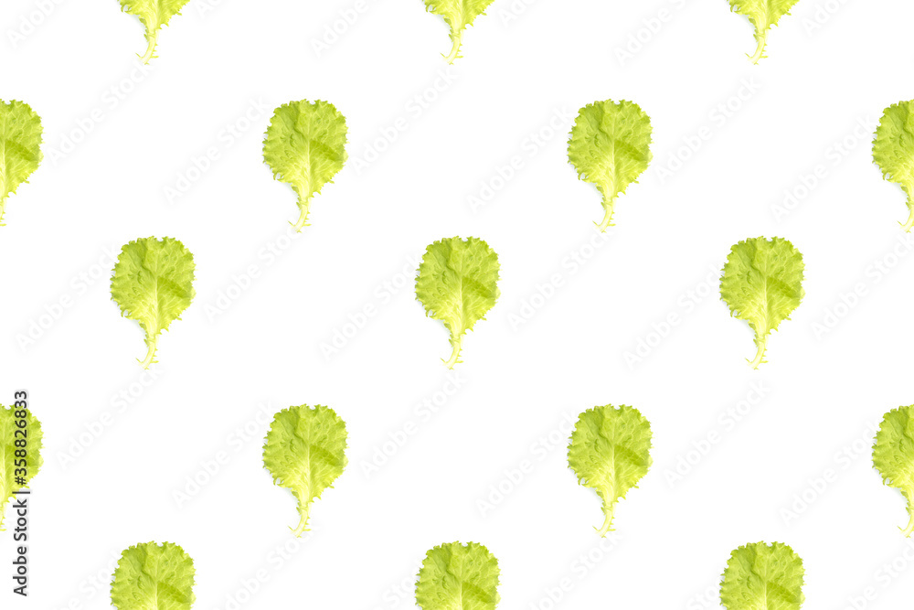 Pattern with light green leaves of green cabbage on a white background. Summer minimalism Pattern with light green leaves of green cabbage on a white background. Summer minimalism