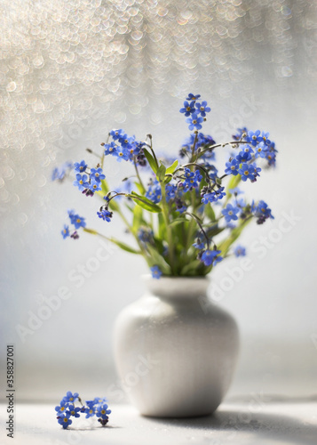 Image with blue flowers.