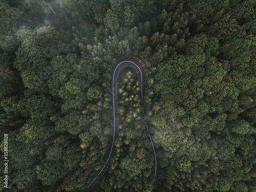 Aerial view of green forest and winding road.