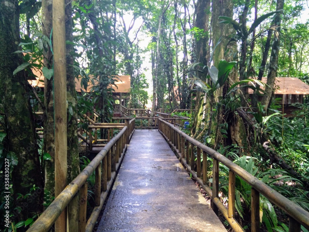 Obraz premium Ośrodek w Tortuguero