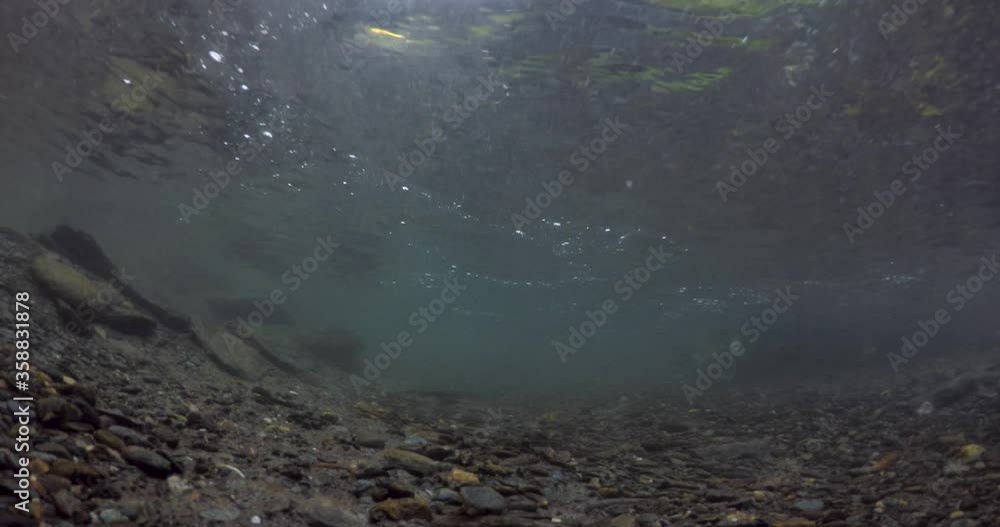 crystal clear waters of the Poqueira river
crystal clear waters of the Poqueira river