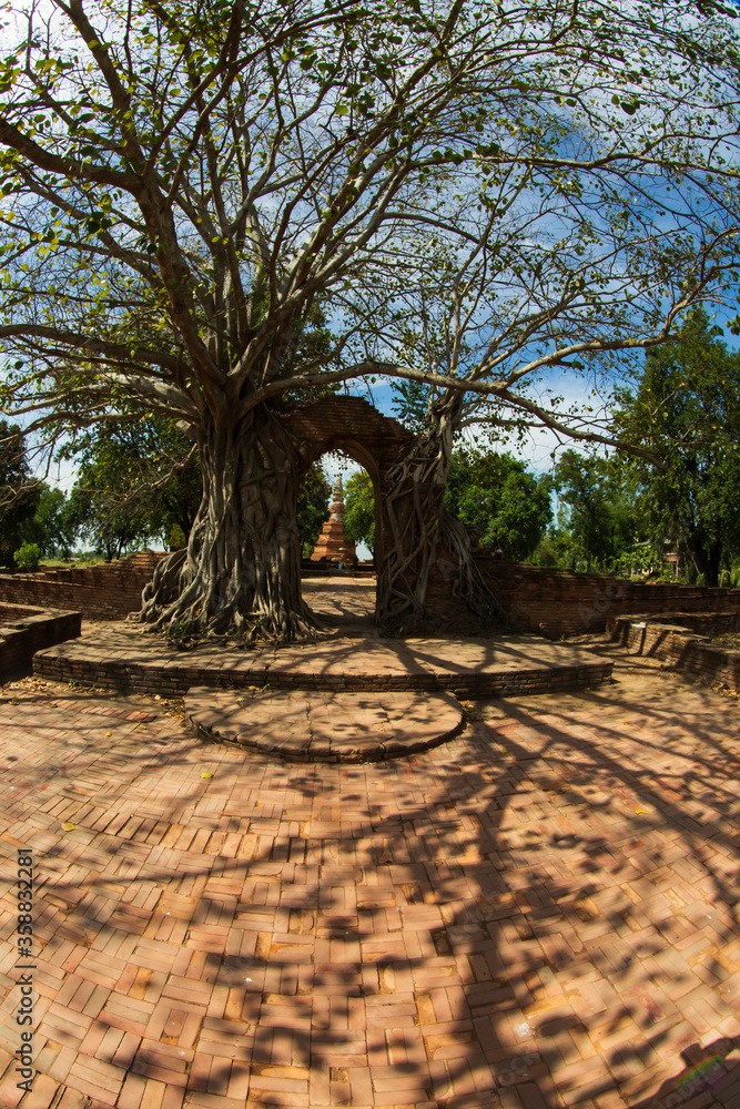 Arch of Phra Ngam temple, Phra Nakhon Si Ayutthaya, thailand