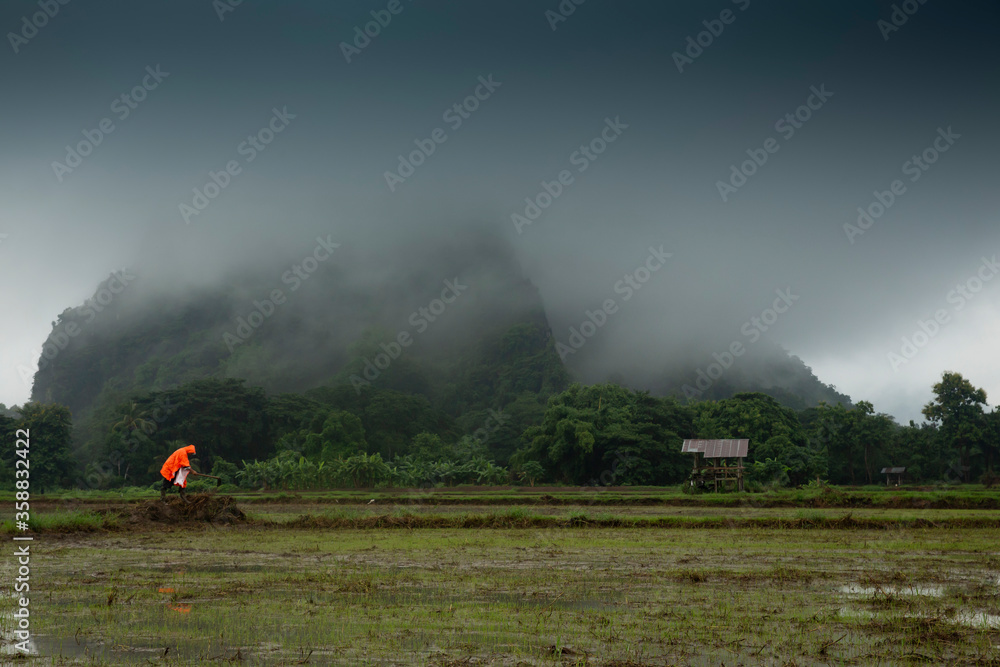Fototapeta premium fog in the mountains