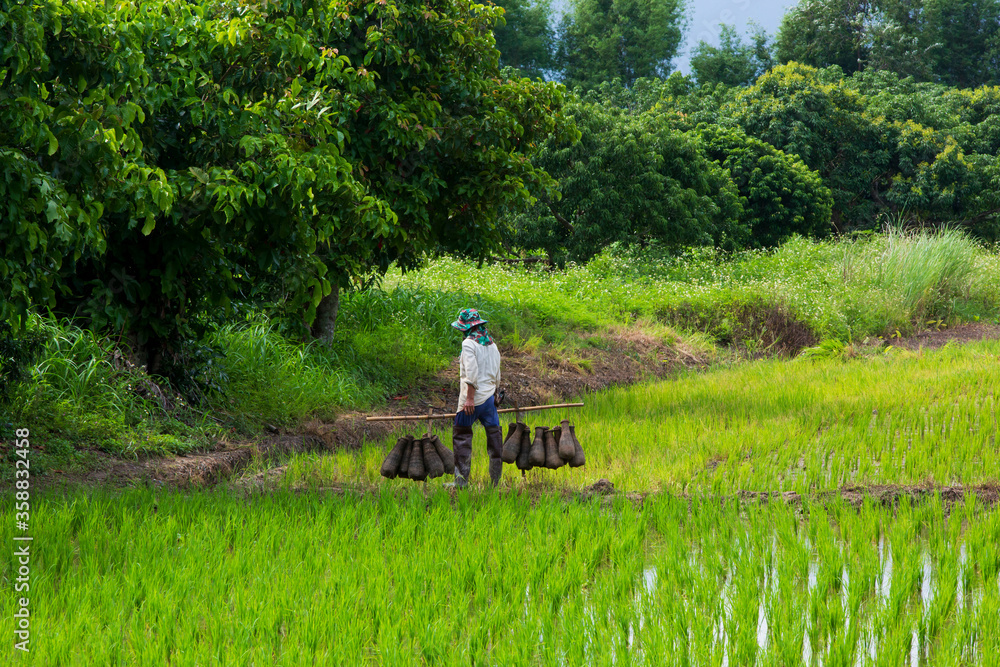 Obraz premium Farmers preparing to catch fish