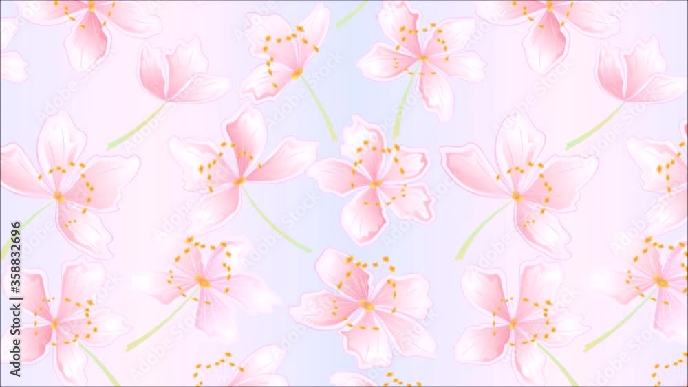 Video seamless loop animation of illustration flowers sakura blossoms spring background vintage motion Video seamless loop animation of illustration flowers sakura blossoms spring background vintage motion