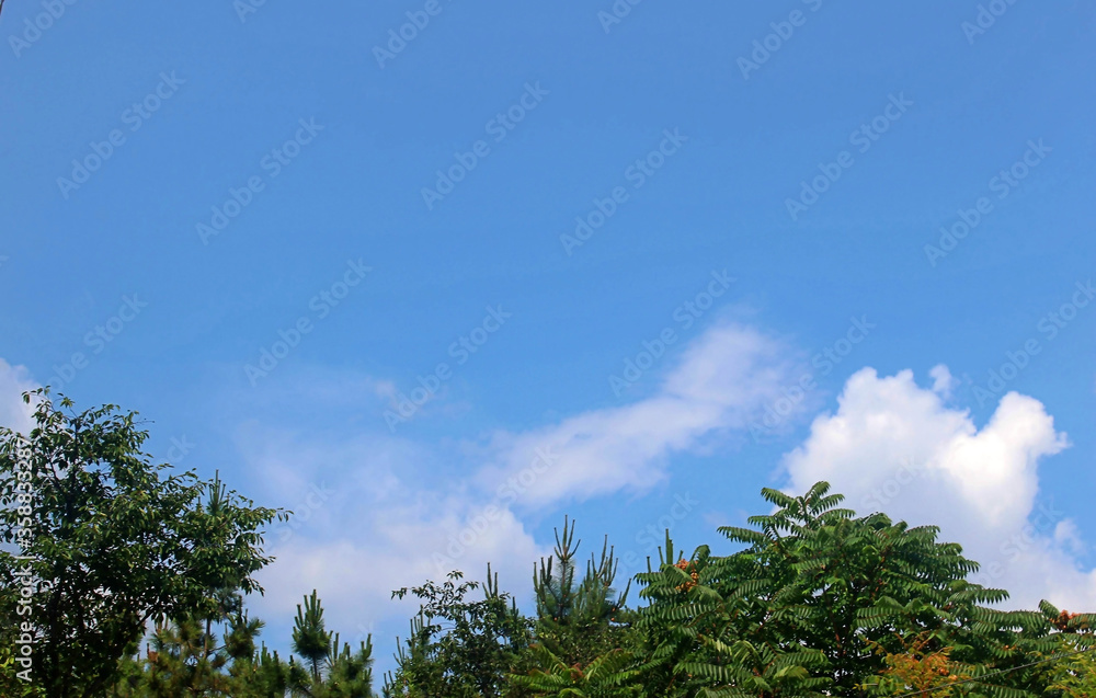 Obraz premium 자연 경관