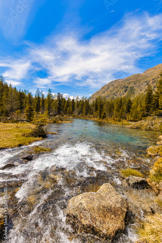 Mountain river on a sunny day in Poschiavo, Grisons, Switzerland.
