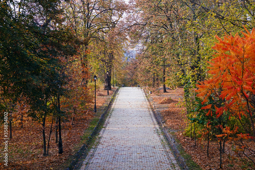 Alley in the autumn park