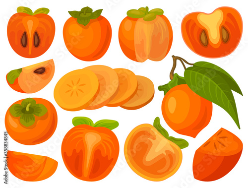 Persimmon vector illustration on white background. Isolated cartoon set icon fruit. Vector cartoon set icon persimmon.