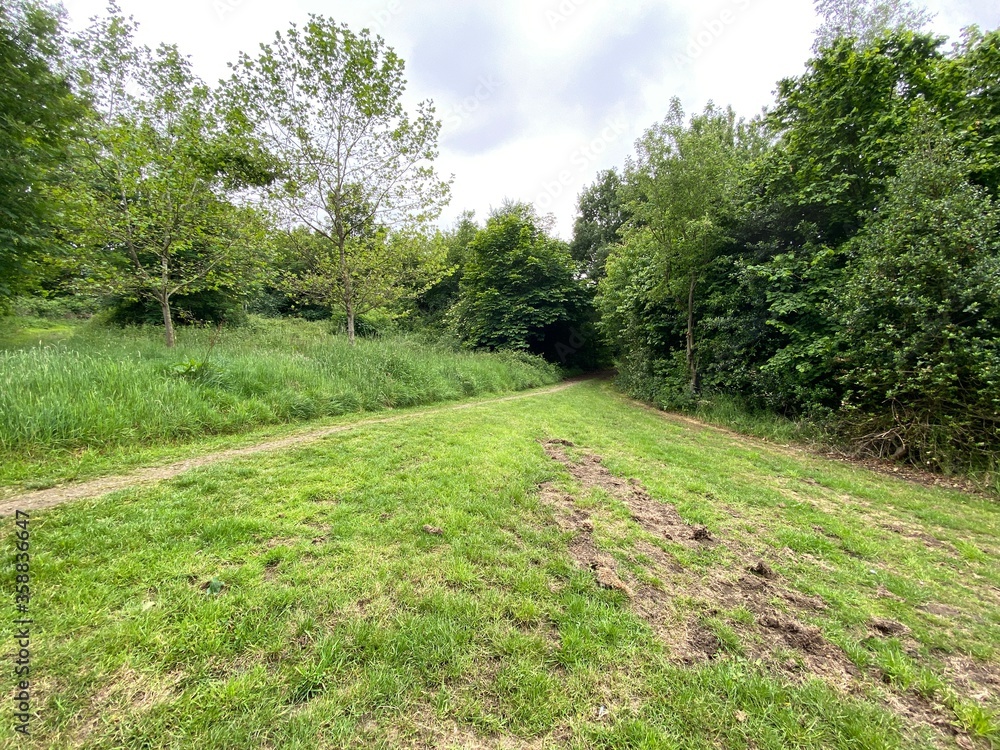 A trail running through the centre of, Heaton Woods, with grass and old trees in, Bradford, UK A trail running through the centre of, Heaton Woods, with grass and old trees in, Bradford, UK