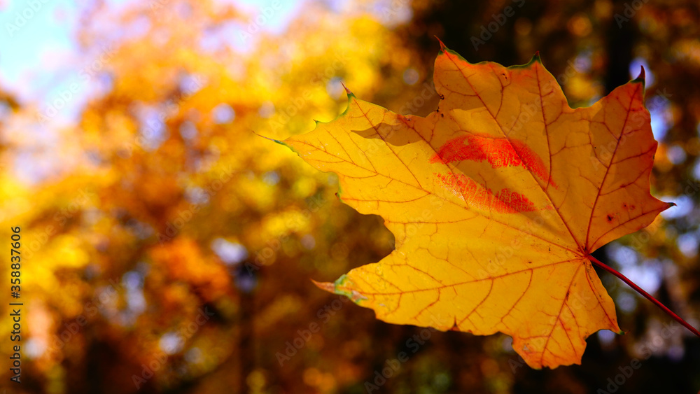 Autumn leaf with a kiss - a kiss of autumn
