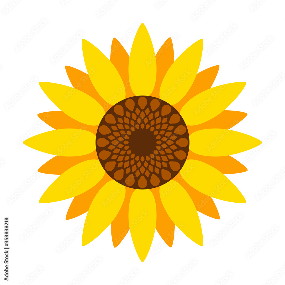 Sunflower vector icon.Cartoon vector icon isolated on white background sunflower. Sunflower vector icon.Cartoon vector icon isolated on white background sunflower.