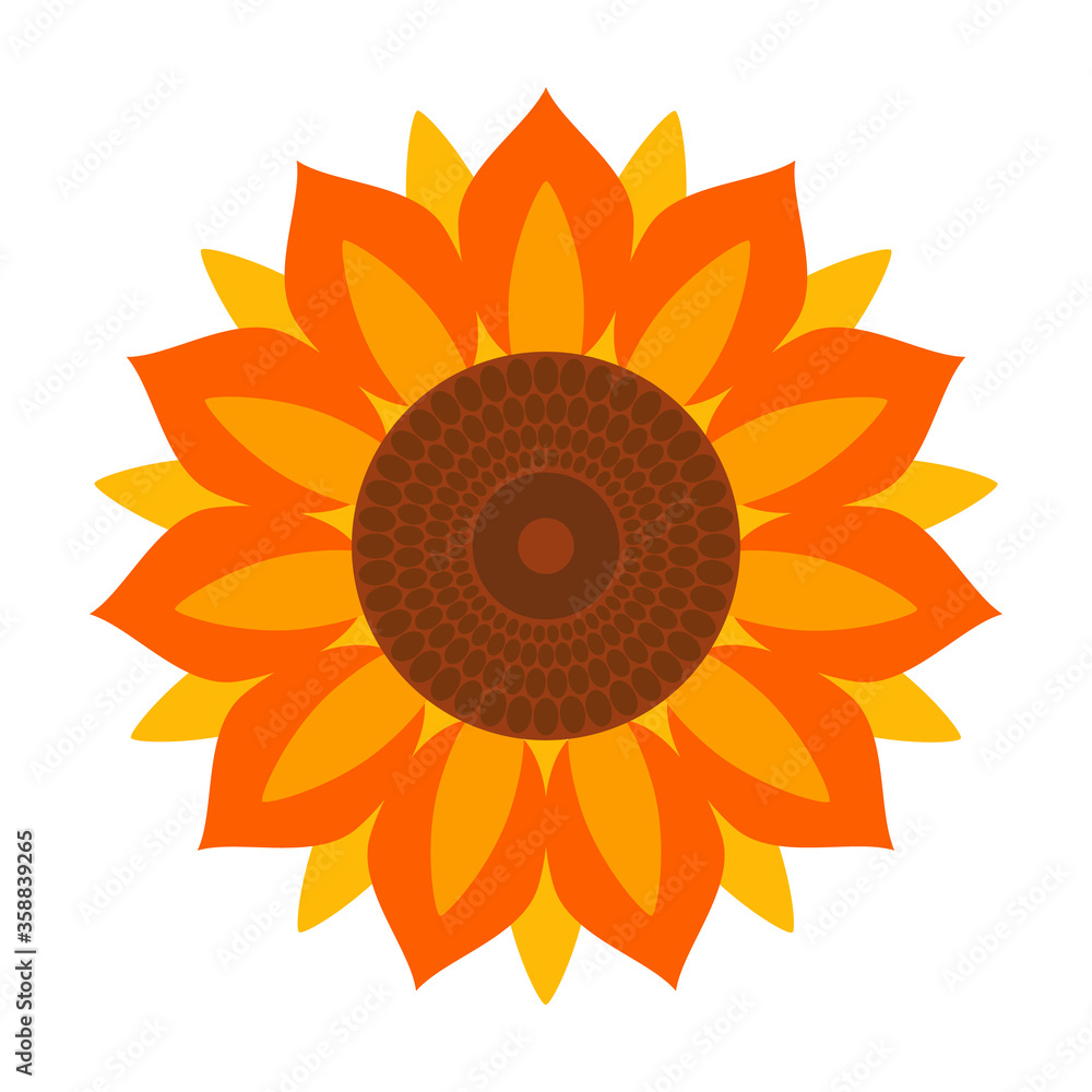 Sunflower vector icon.Cartoon vector icon isolated on white background sunflower. Sunflower vector icon.Cartoon vector icon isolated on white background sunflower.