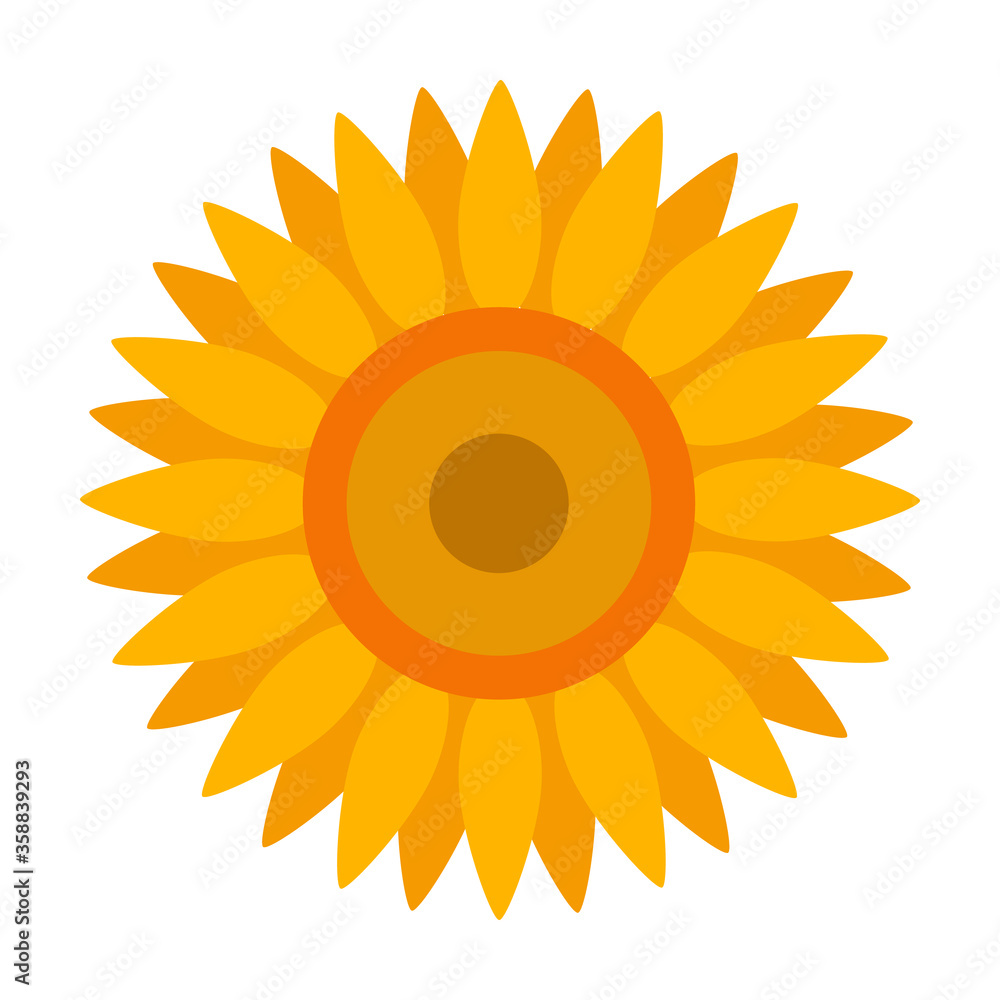 Sunflower vector icon.Cartoon vector icon isolated on white background sunflower. Sunflower vector icon.Cartoon vector icon isolated on white background sunflower.