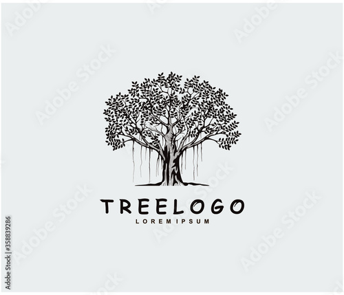 Tree logo design template, vector isolated.  banyan tree logo.