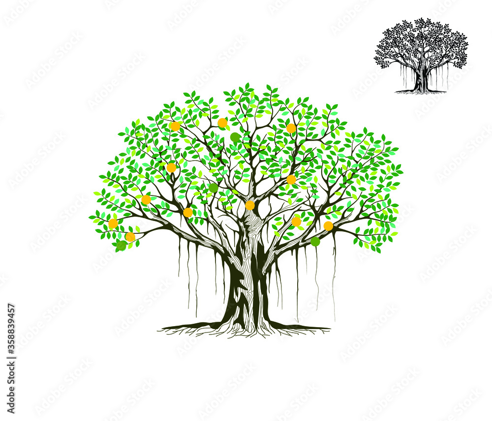 banyan Tree logo design template, vector illustration. Stock Vector ...