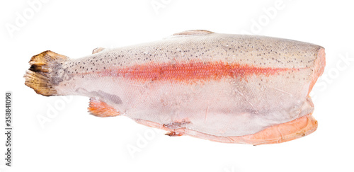 deepfrozen gutted and headless rainbow trout red fish isolated on white background photo