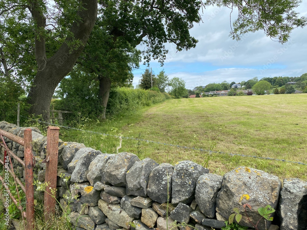 Corner of a field, with dry stone walls, a farm gate, and old trees in, Hawksworth, Leeds, UK