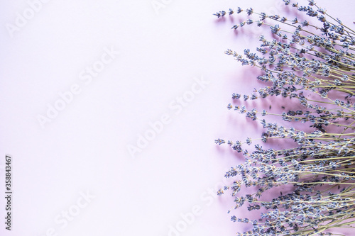 Lavender dry flowers on light background. Top view  text space