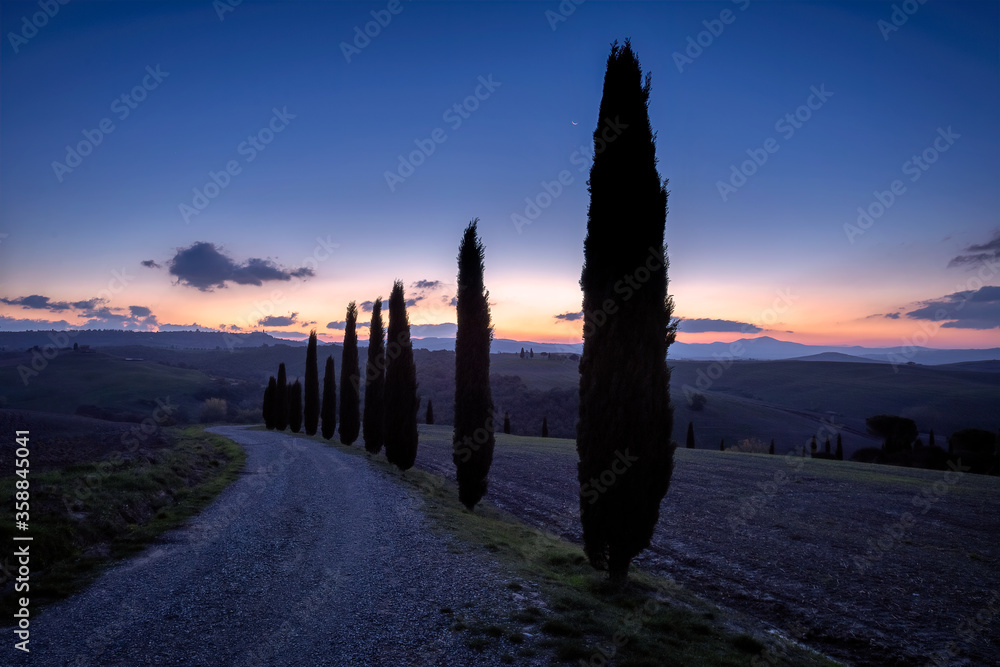 Road and cypress trees in San Quirico d'Orcia, Tuscany, Italy at dawn Road and cypress trees in San Quirico d'Orcia, Tuscany, Italy at dawn