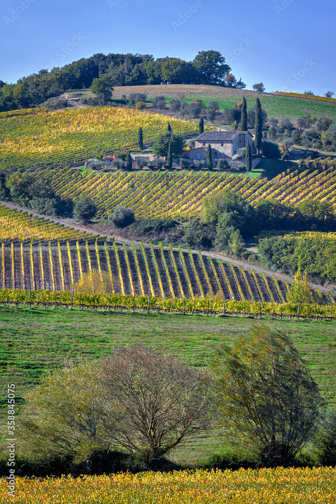 Hillside in Tuscany with vineyards and farmhouse, Italy