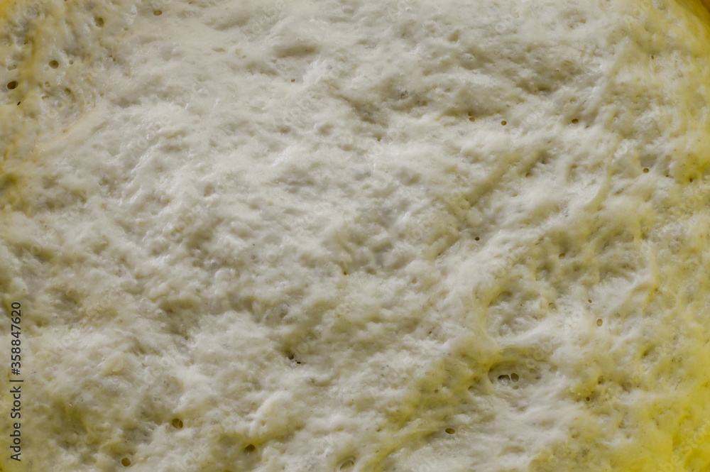 Raw focaccia dough close up texture. Traditional Italian Focaccia homemade flat bread focaccia. Raw focaccia dough close up texture. Traditional Italian Focaccia homemade flat bread focaccia.