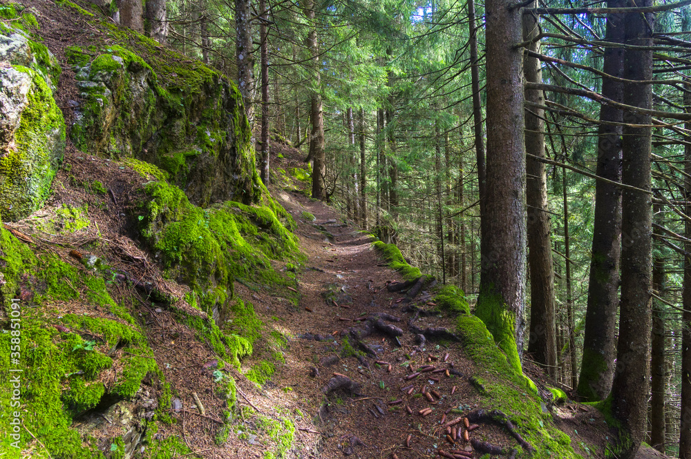 Hillside trail. Hillside trail.