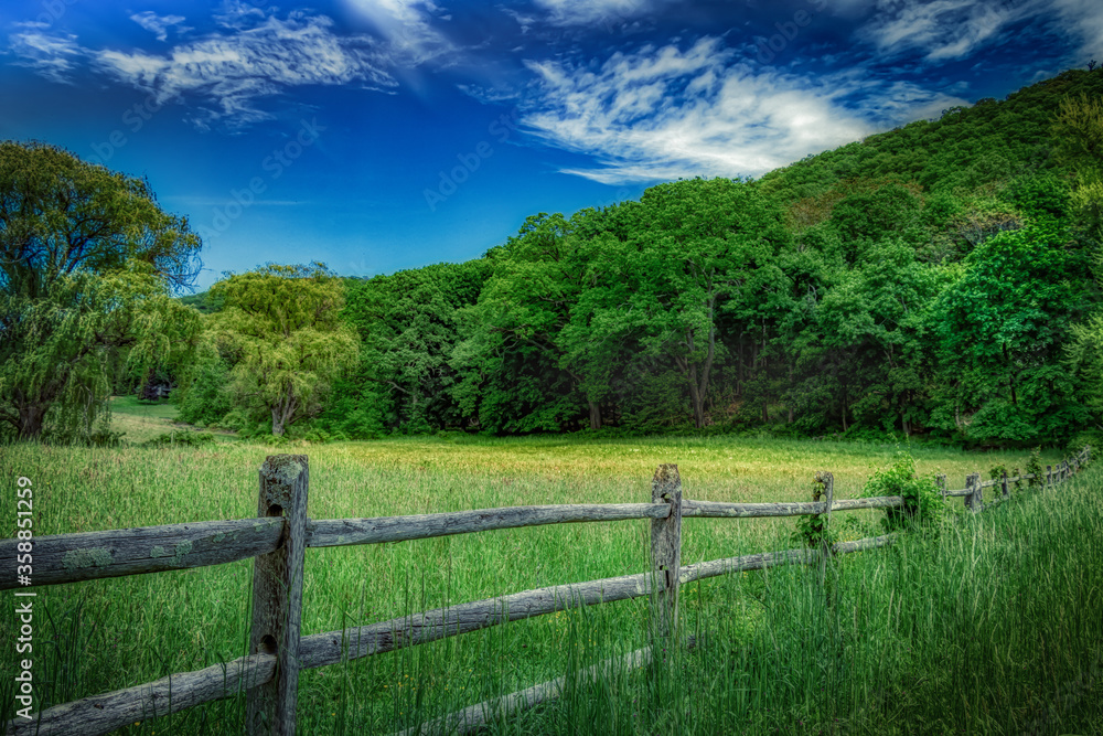 forest landscape with fence