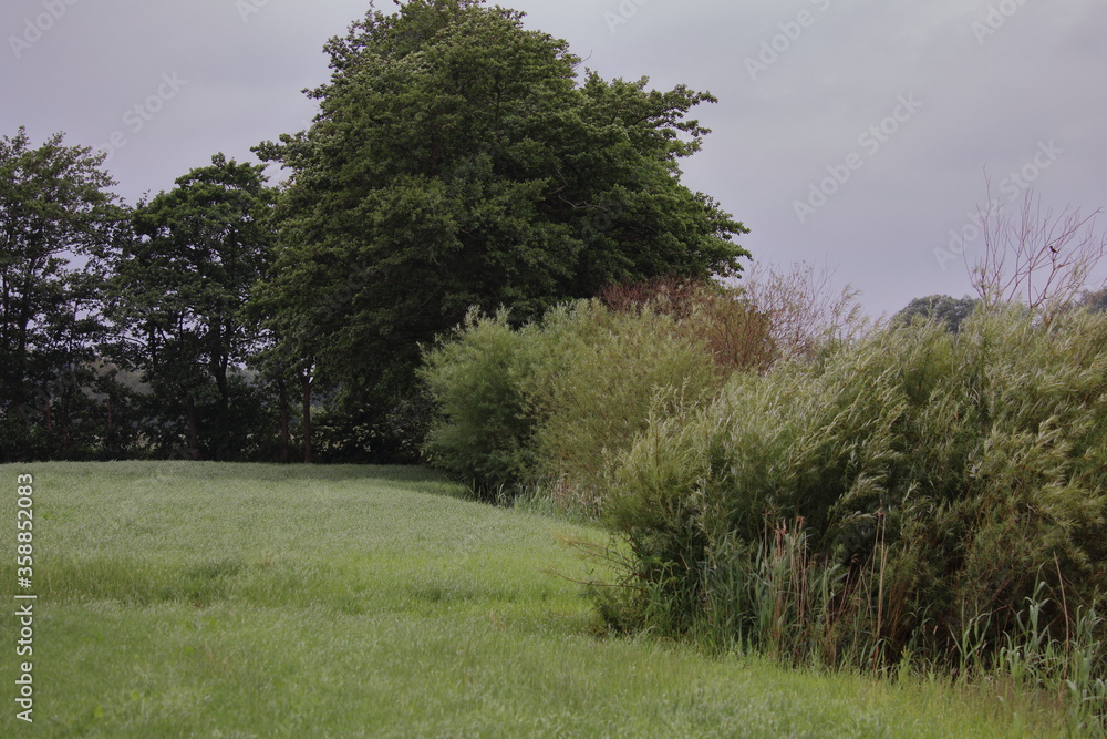 Obraz premium Landschaft in der Nähe von der Elbe